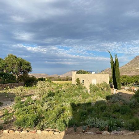 The Olive House, برنس ألبرت المظهر الخارجي الصورة