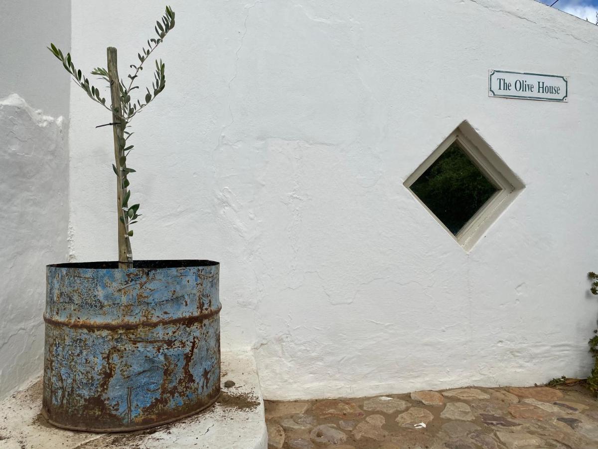 The Olive House, برنس ألبرت المظهر الخارجي الصورة