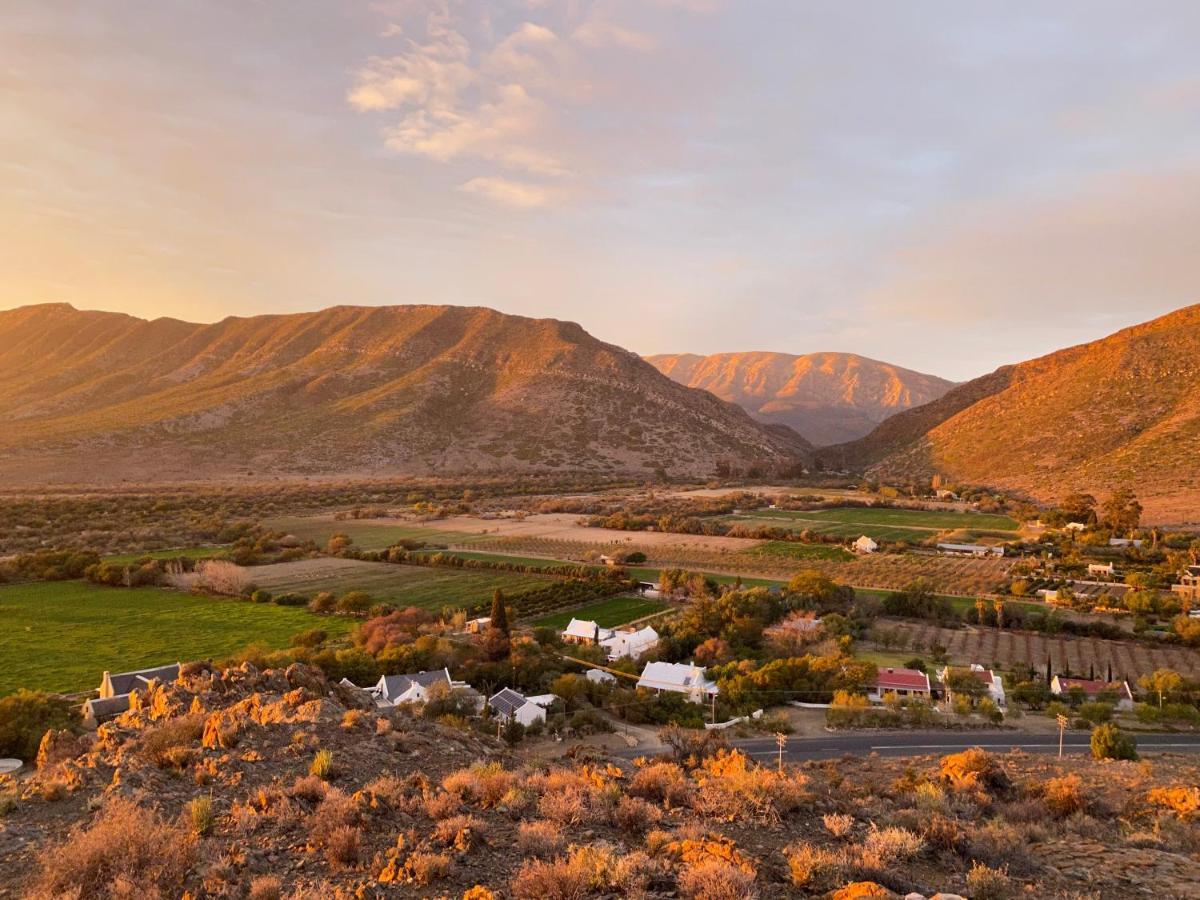 The Olive House, برنس ألبرت المظهر الخارجي الصورة