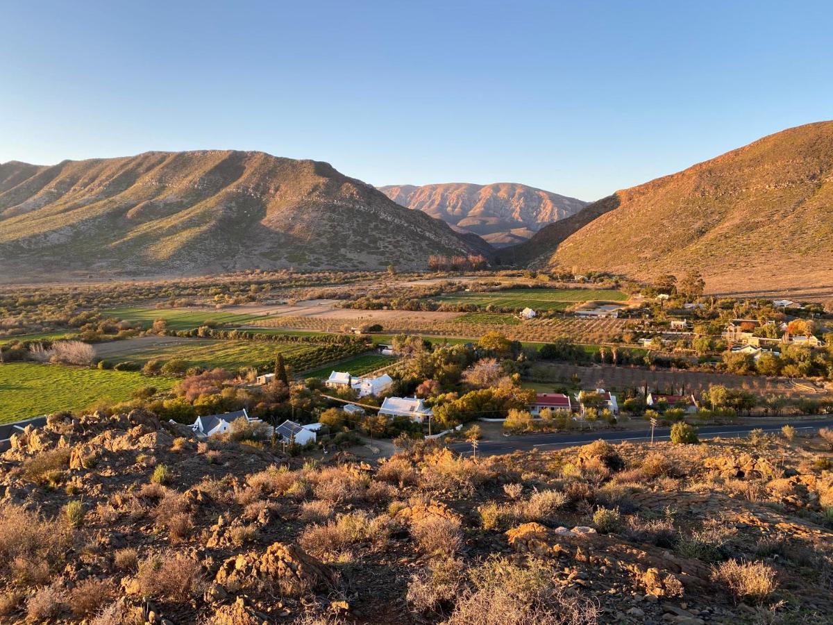 The Olive House, برنس ألبرت المظهر الخارجي الصورة