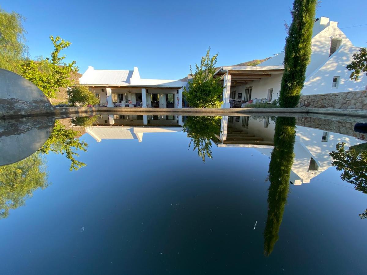 The Olive House, برنس ألبرت المظهر الخارجي الصورة