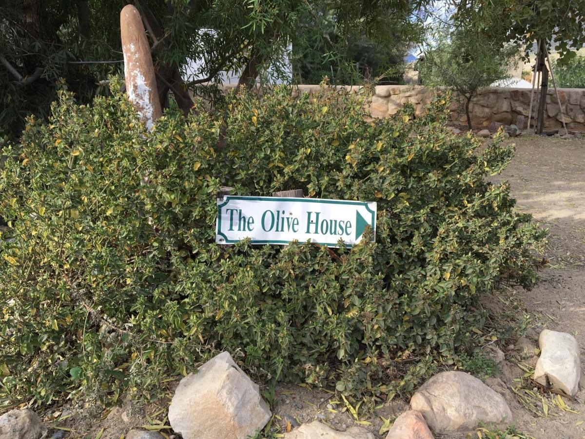 The Olive House, برنس ألبرت المظهر الخارجي الصورة