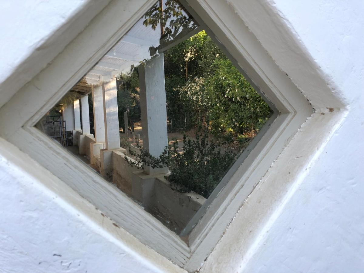 The Olive House, برنس ألبرت المظهر الخارجي الصورة