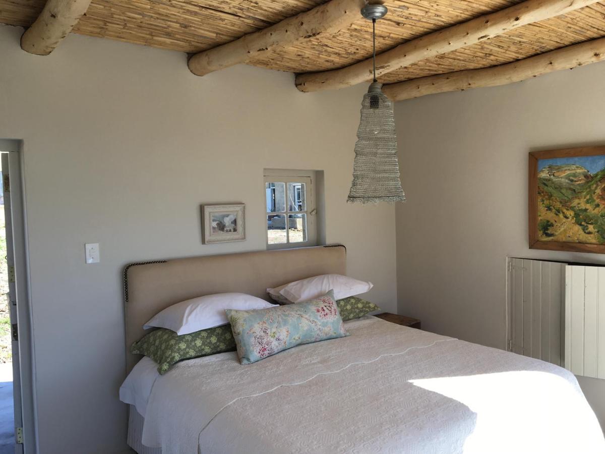 The Olive House, برنس ألبرت المظهر الخارجي الصورة