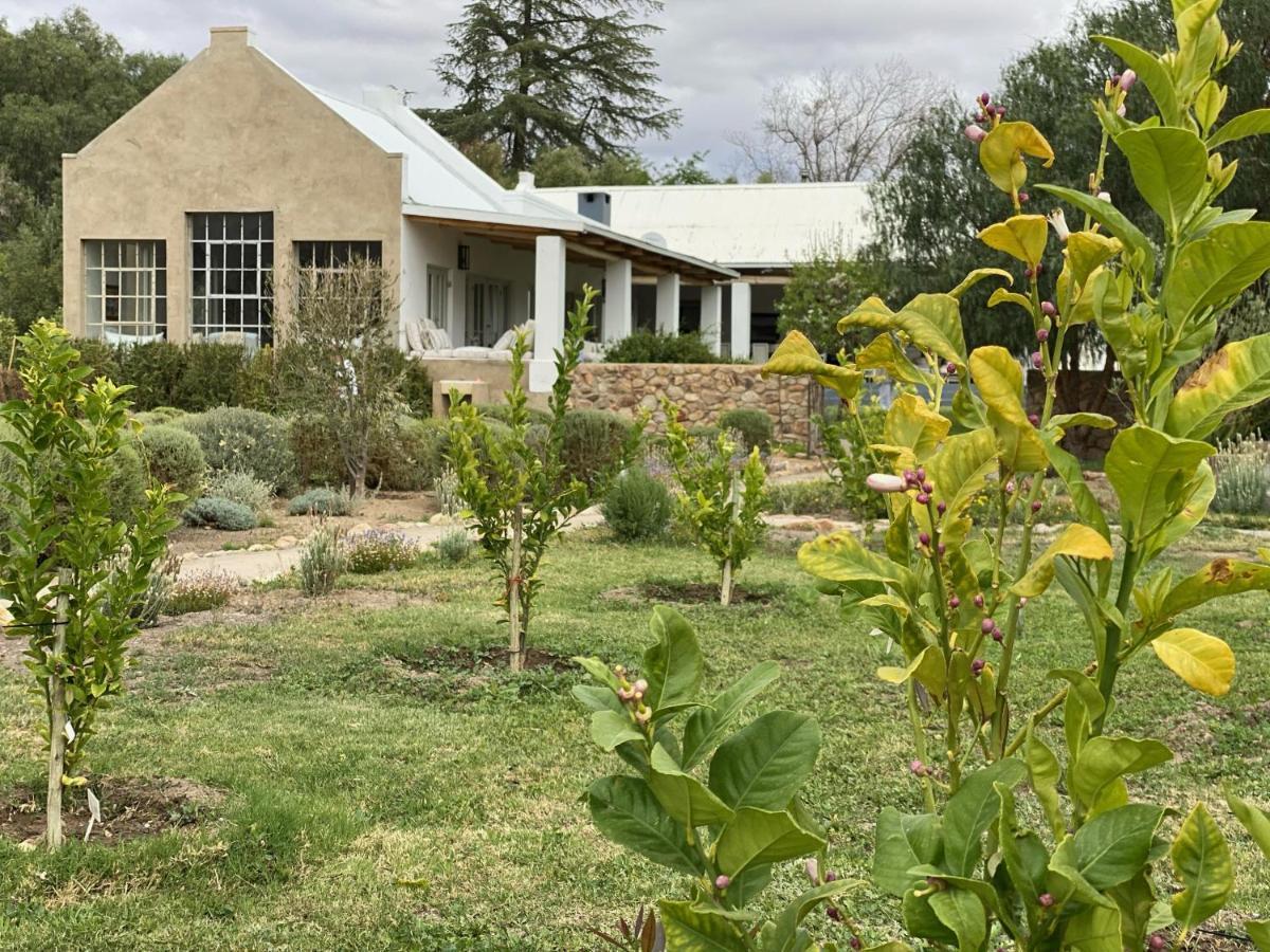 The Olive House, برنس ألبرت المظهر الخارجي الصورة