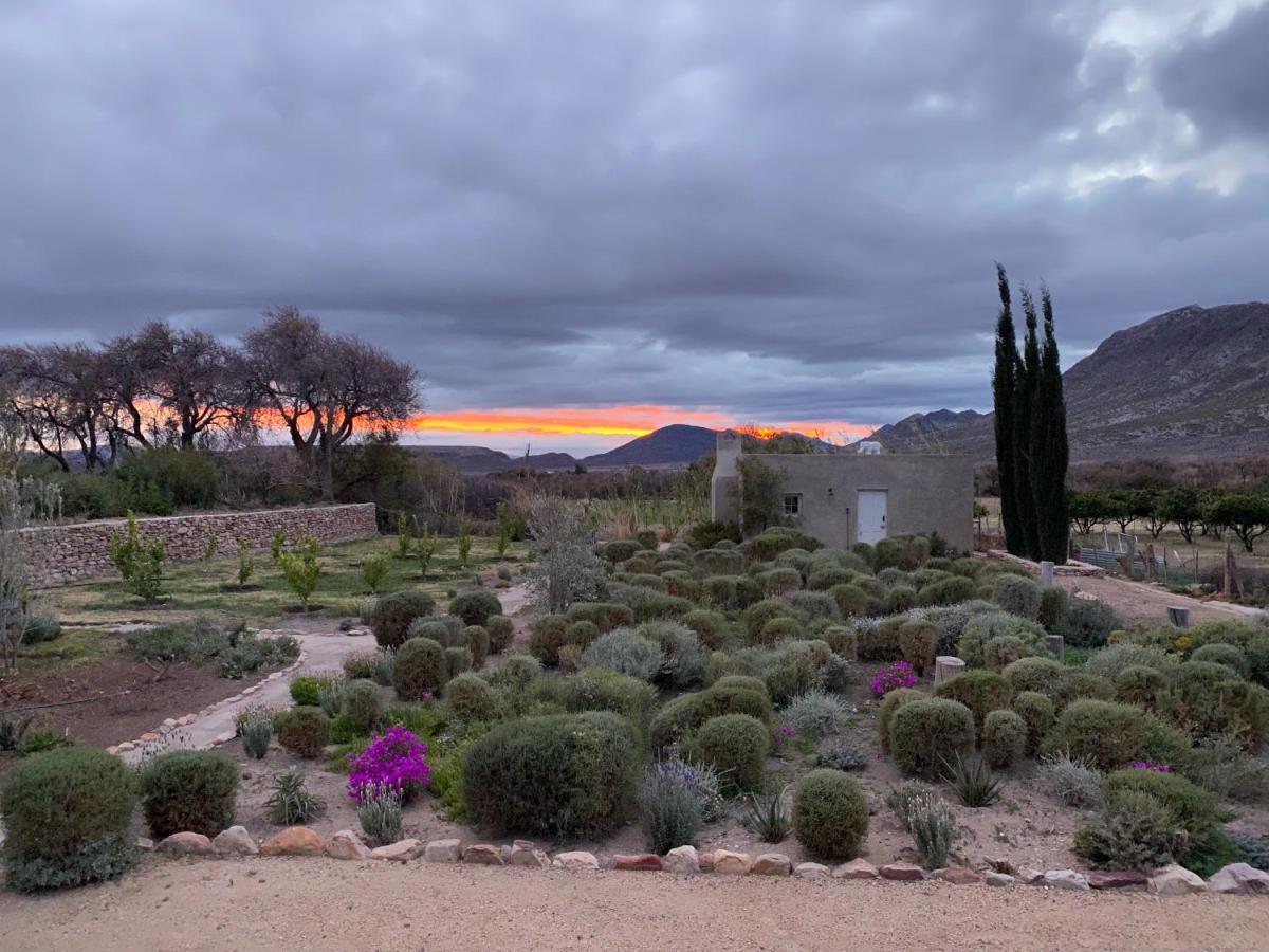The Olive House, برنس ألبرت المظهر الخارجي الصورة