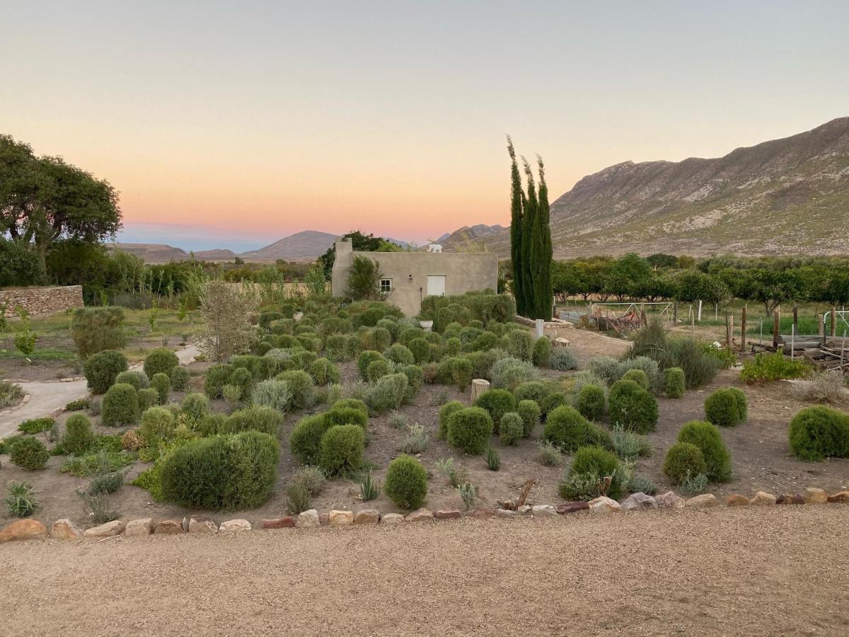 The Olive House, برنس ألبرت المظهر الخارجي الصورة