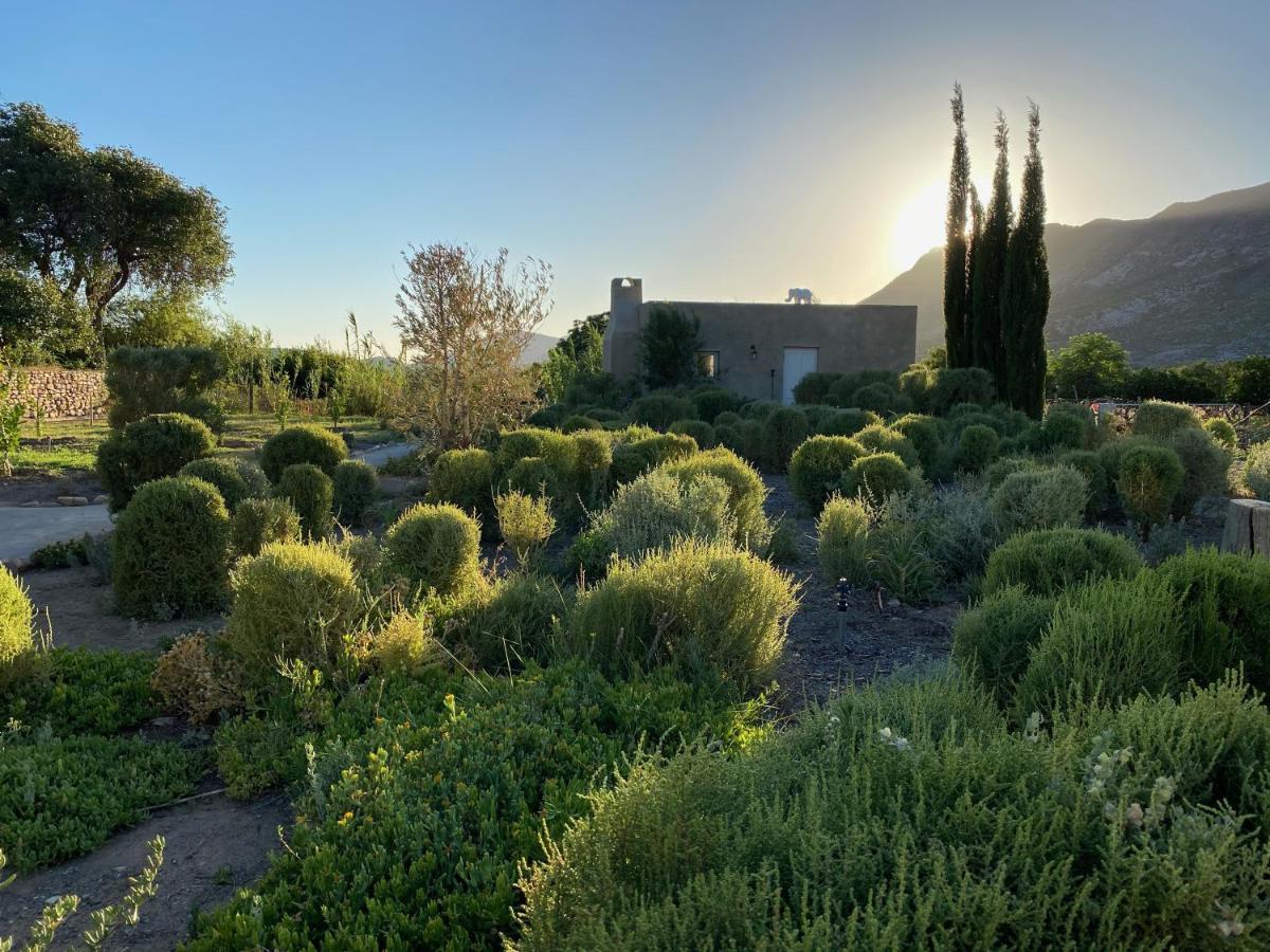 The Olive House, برنس ألبرت المظهر الخارجي الصورة