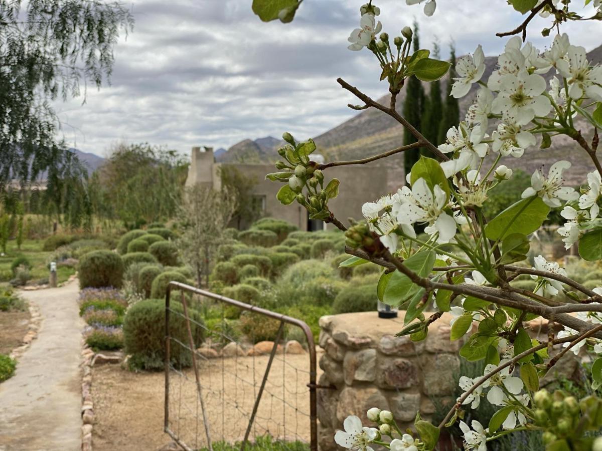 The Olive House, برنس ألبرت المظهر الخارجي الصورة