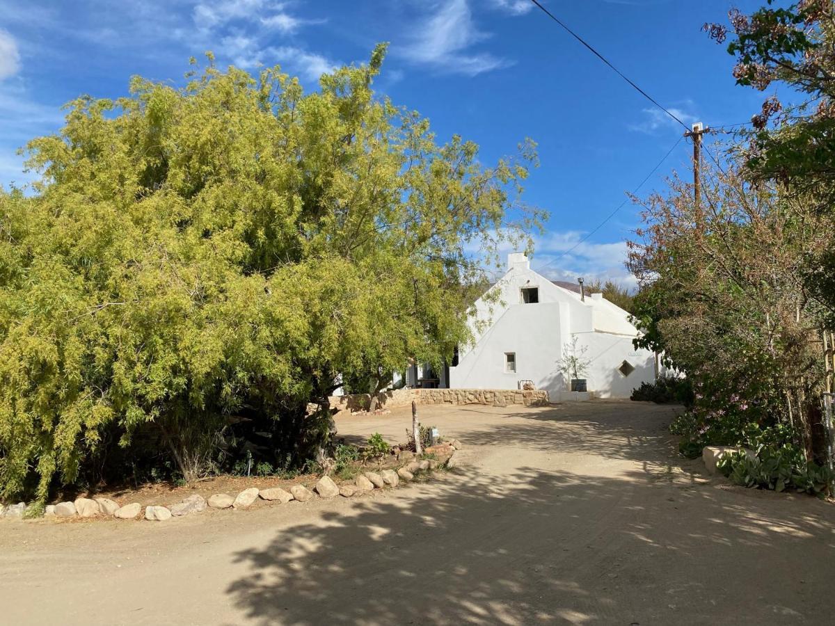 The Olive House, برنس ألبرت المظهر الخارجي الصورة