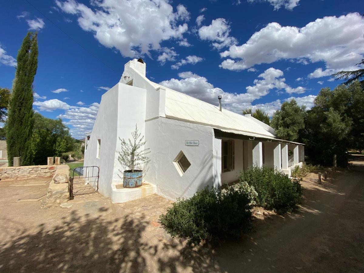 The Olive House, برنس ألبرت المظهر الخارجي الصورة